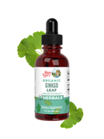 Organic Ginkgo Leaf Liquid Drops