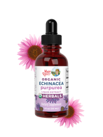 Organic Echinacea Purpurea Herbal Liquid Drops